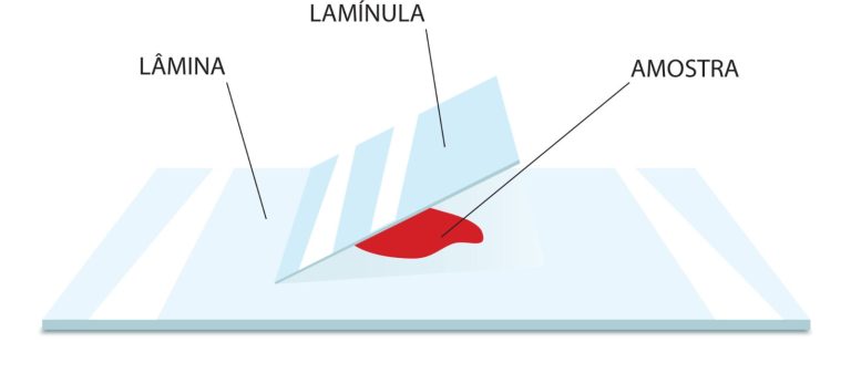 Lâmina para Microscopia